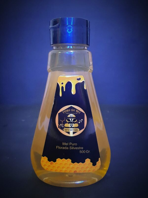 Mel de Abelha - Bisnaga de 500g, Florada Silvestre