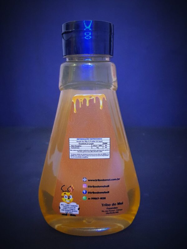 Mel de Abelha - Bisnaga de 500g, Florada Silvestre - Imagem 2