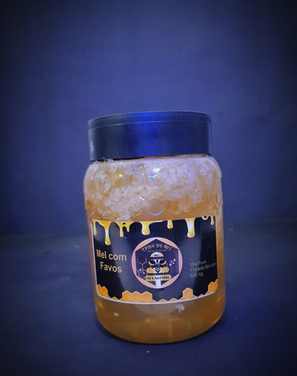 Pote de mel com favo 500g